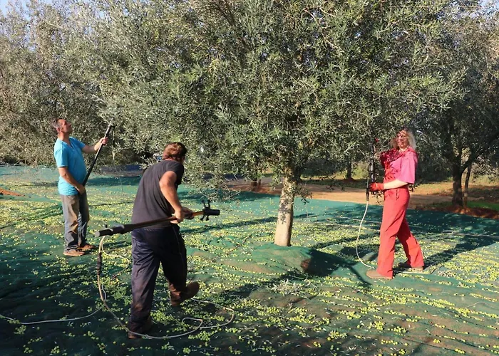 Prázdninový dům Melisa 6 By Interhome *