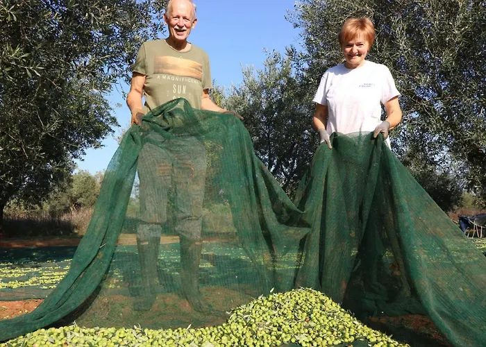 Melisa 6 By Interhome Poreč